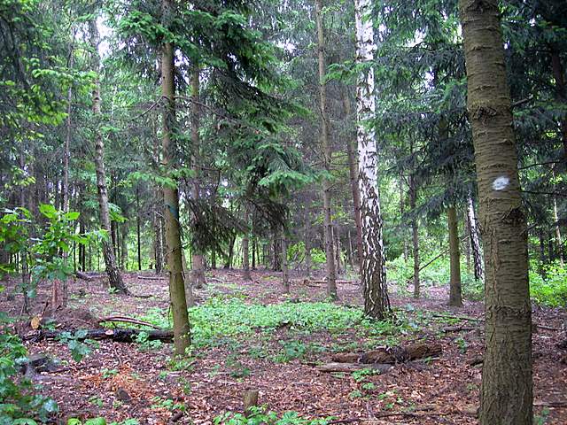 Caresta...penuria e tempi duri.....